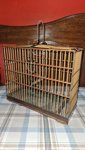 Gaiola para curio