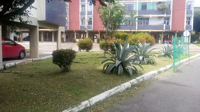 Jardinagem completa em geral