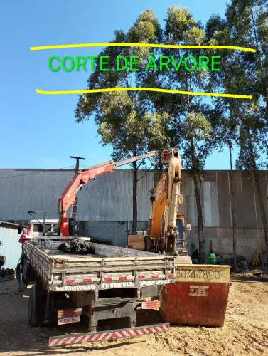 Corte de árvore 