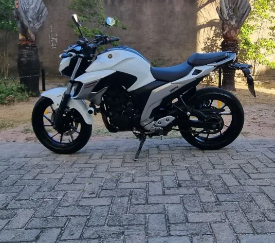 MOTO FAZER 250 2019 ,flex , único dono.