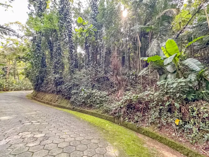 Terreno residencial para venda em Condomínio Iolanda, 5,339m²