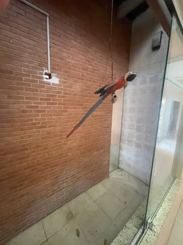 Alugo Casa Com Piscina Na Chacara Brasil Turu Terreno 30x30m