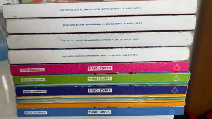 Livros SAE digital 6 e 7 ano