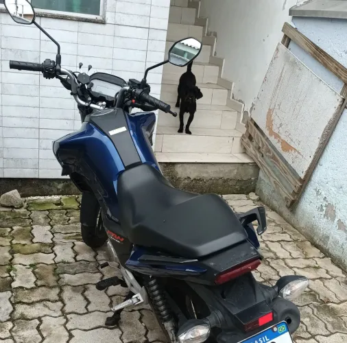 Fan 160
