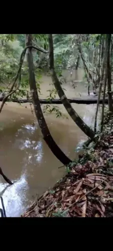 Vendo 70 mil chácara no km27 sentido Humaitá
