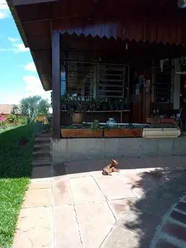 Excelente Chácara/Sitio Fazenda Fialho Taquara