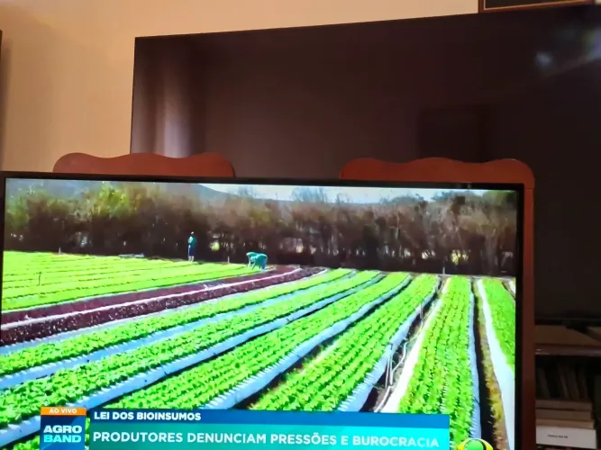 Smartv Philips  43"