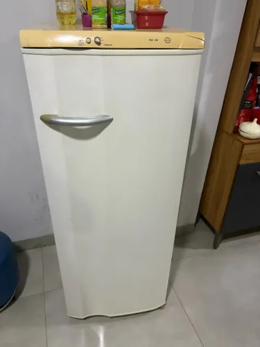 Geladeira Electrolux RE28 240L