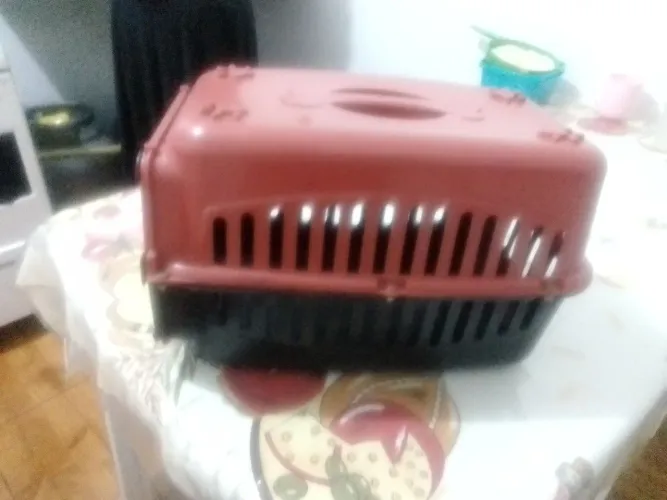 Casinha de cachorro 