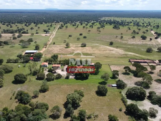 Fazenda Beira Rios em Cocalinho-MT. (6.321 Hectares)