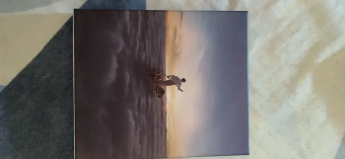 Box Pink Floyd The Endless River