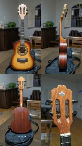 Cavaquinho Strimberg CS25 - HBS com capa!