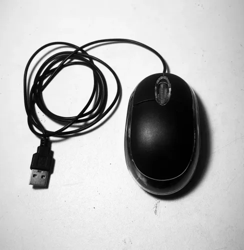 Mouse