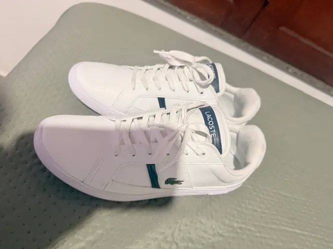 Tênis Lacoste original