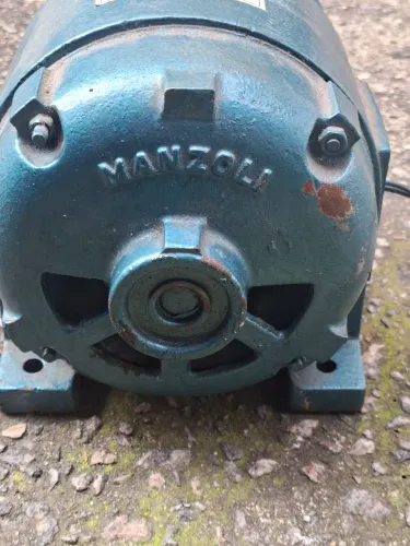 Motor Manzoli 2cv trifasico