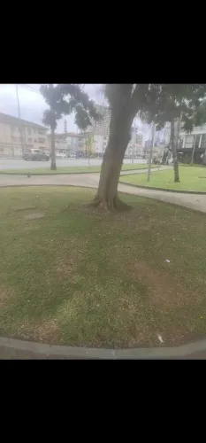 Operador de roçadeira