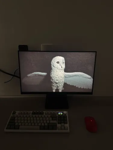 KIT SETUP COMPLETO (RYZEN 5600g) + Atack shark periféricos