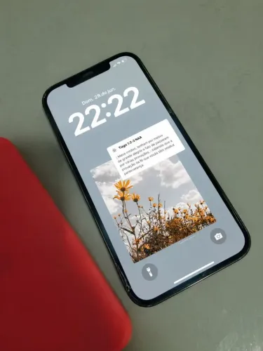 Iphone 12 pro max 256gb 100% funcionando