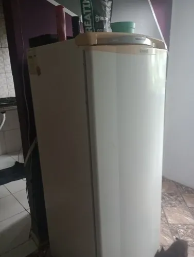 Geladeira Electrolux frostfree 300l
