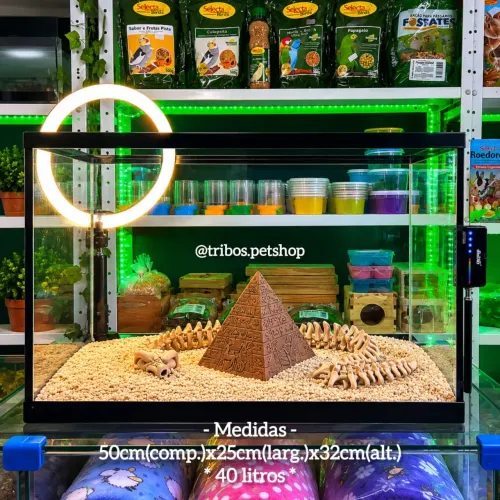 Aquário 