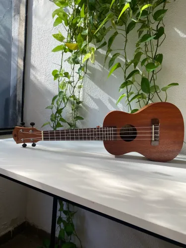 Ukulele Harmonics