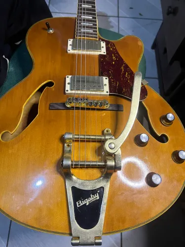 guitarra crafter FEG700 e up grades