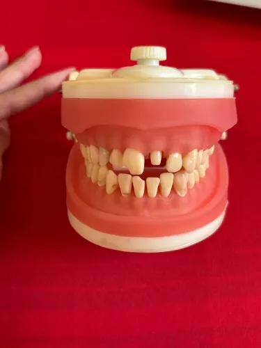 Vendo Manequim de materiais odontológicos da marca pronew