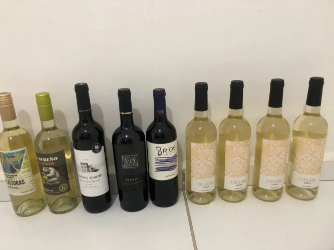 VINHOS ESPANHÓIS, CHILE, PORTUGAL