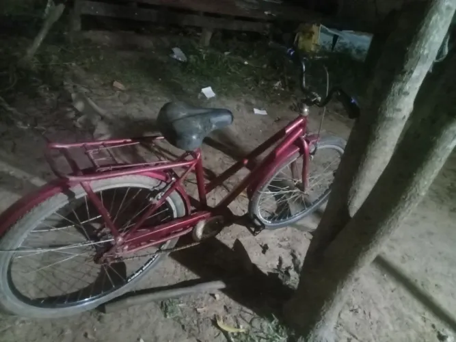 Vendo essa bicicleta poti grande