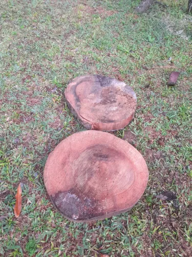 Vende-se bolacha de jatoba