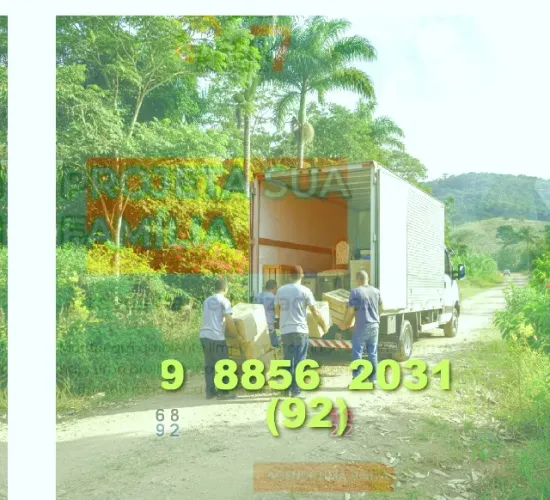 Frete Bau para Sua Mudança em São Geraldo, Lago Azul, Compensa e Ariquemes!