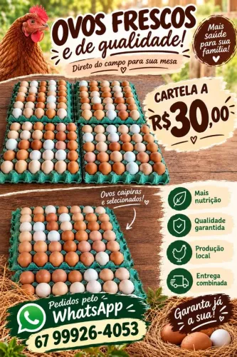 Frangos e ovos caipira