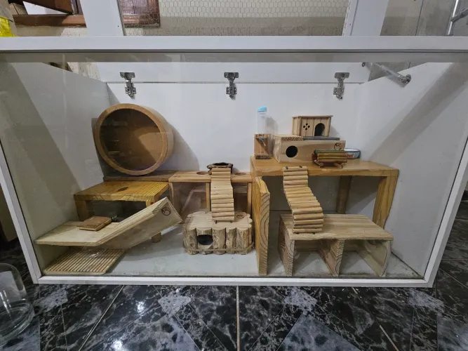 Terrário para pequenos roedores 