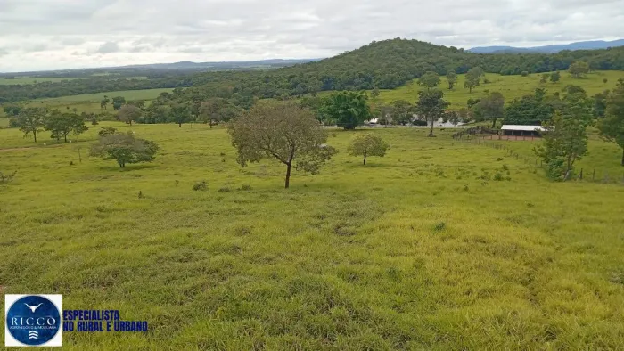 Fazenda à venda em Uruana GO | 54 Alqueires | Renda + Estrutura Completa