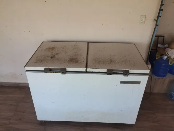 Vendo freezer prosdocimo em perfeito funcionamento. Só pegar e usar. Muito bom mesmo.