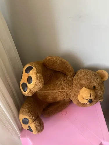 Urso de pelúcia