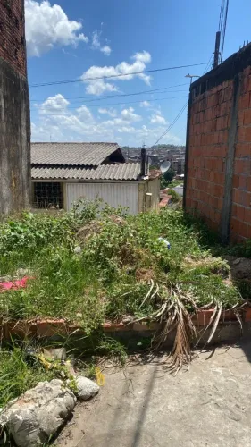 Terreno