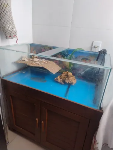 Aquário para tartaruga ou peixe 