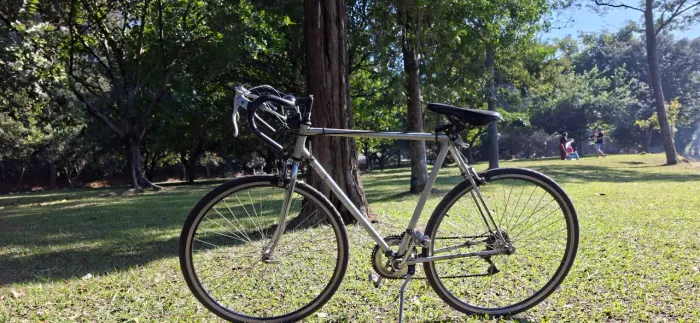 BIKE SPEED CALOI 10 - ANO 1998 | ARO 29