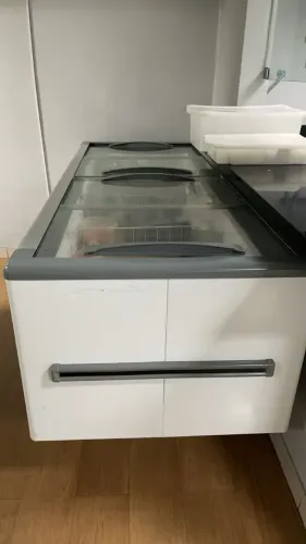 Freezer horizontal