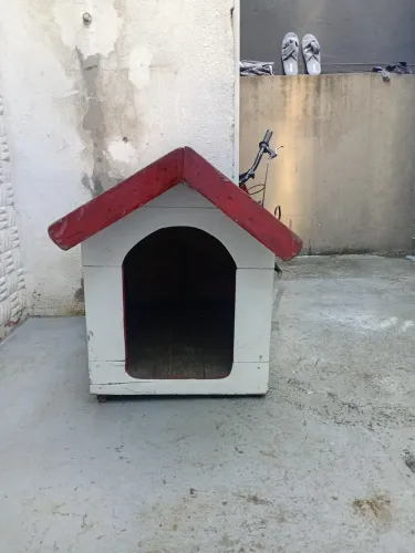 Casinha de cachorro
