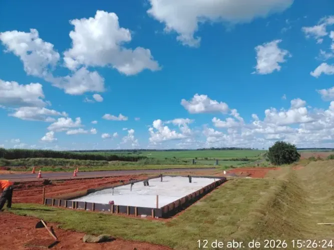 Grama São Carlos Verde Natural Alta Resistência