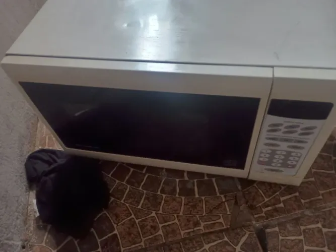 Televisão e microondas
