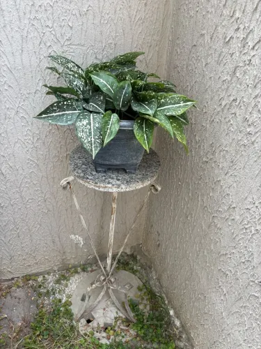 pedestal de ferro com tampo redondo de granit