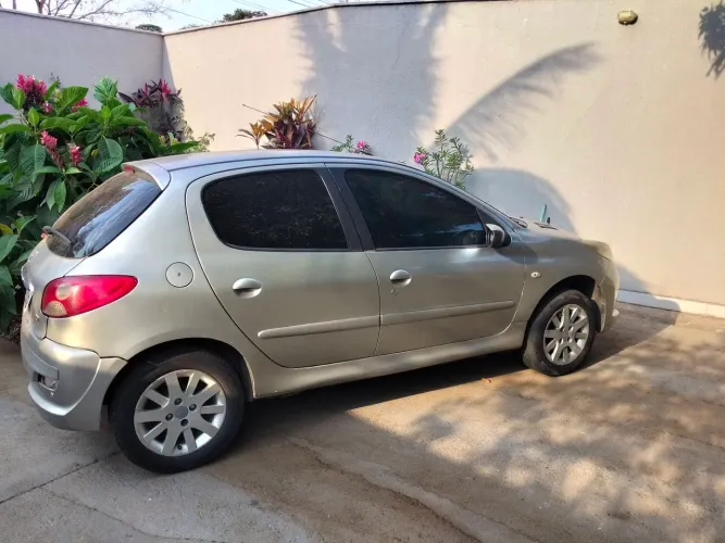 Peugeot 207 XR 1.4 Flex 8V 5P 2012