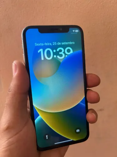 iPhone X 256GB