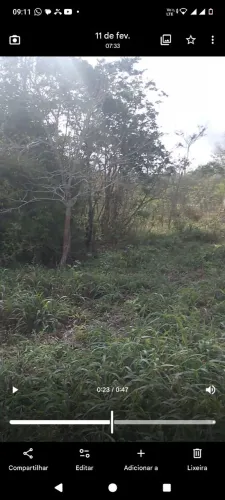 Terreno