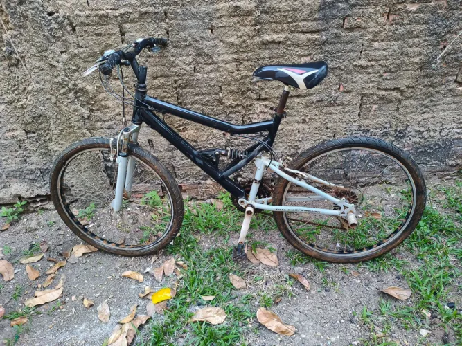 Bicicleta collie