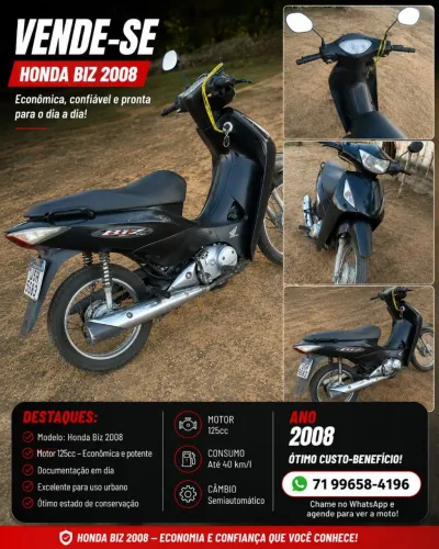 Biz 2008