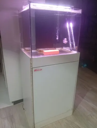 Aquário extraclear 